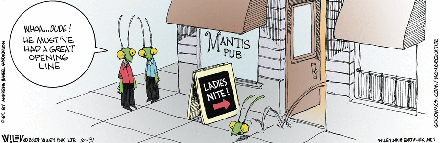 Non Sequitur