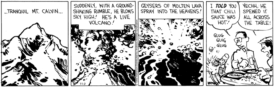 Calvin and Hobbes