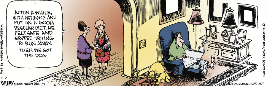 Non Sequitur