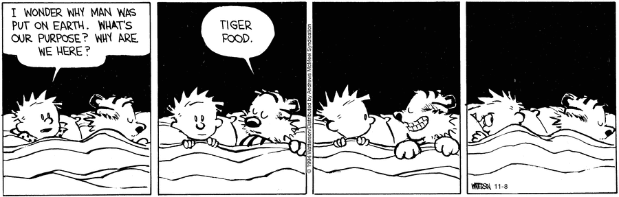 Calvin and Hobbes