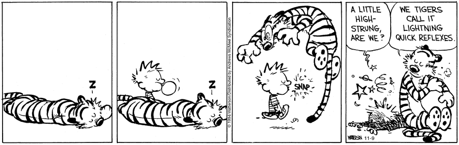 Calvin and Hobbes