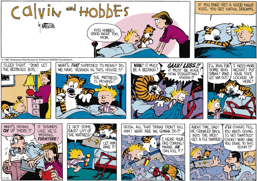 Calvin and Hobbes