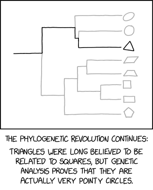 xkcd
