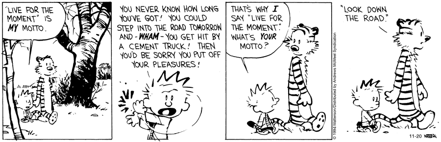 Calvin and Hobbes