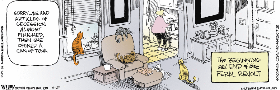 Non Sequitur