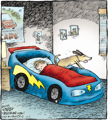 Speed Bump