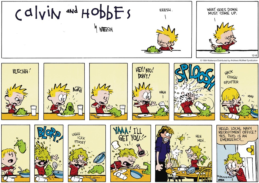 Calvin and Hobbes