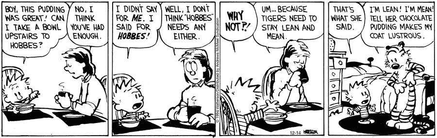 Calvin and Hobbes