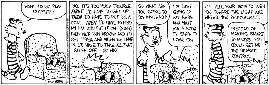 Calvin and Hobbes