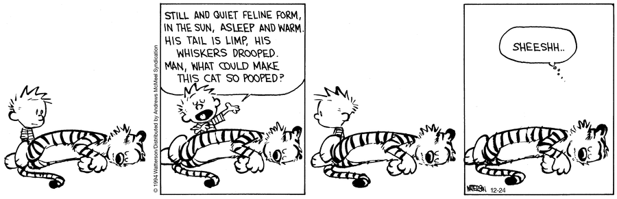 Calvin and Hobbes