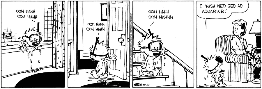 Calvin and Hobbes