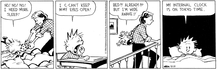 Calvin and Hobbes
