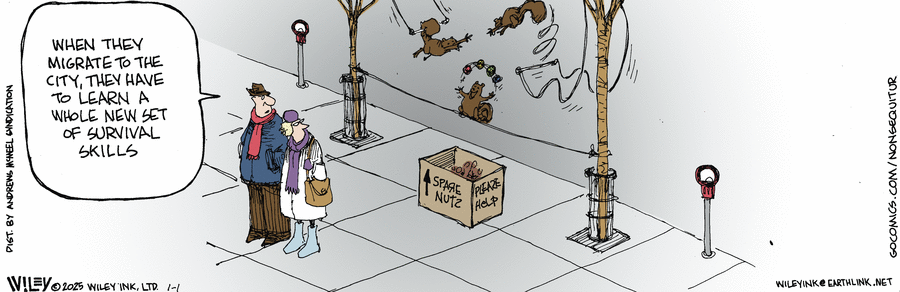 Non Sequitur