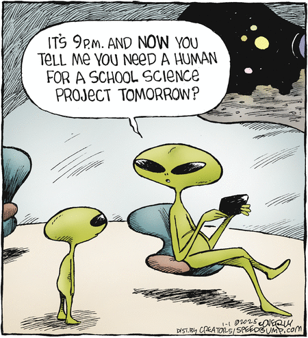Speed Bump