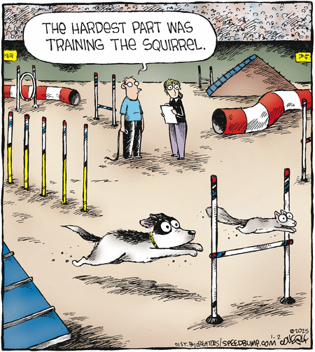 Speed Bump