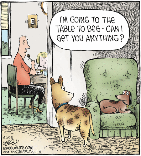Speed Bump
