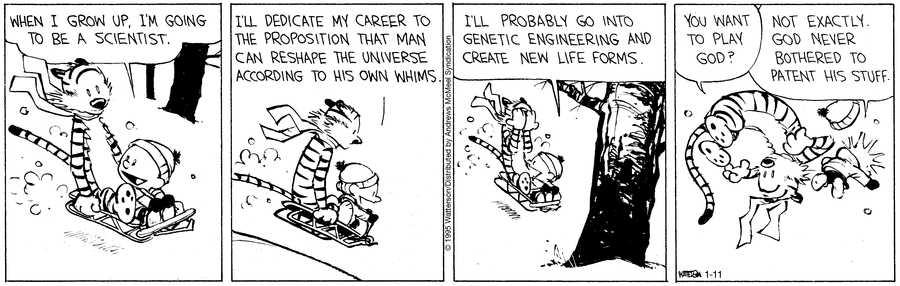 Calvin and Hobbes