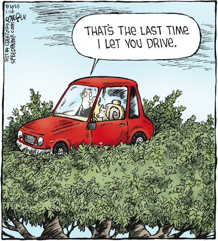 Speed Bump