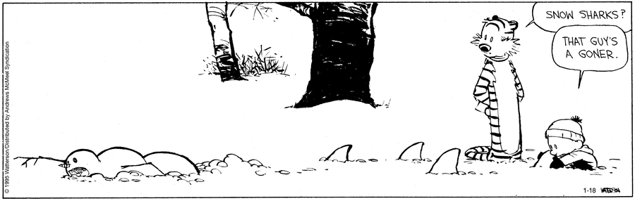 Calvin and Hobbes