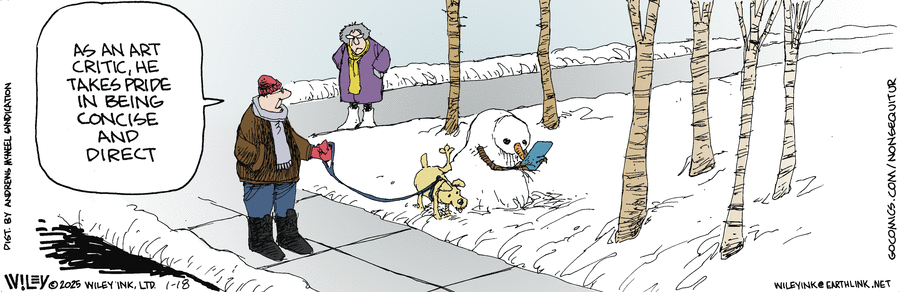 Non Sequitur