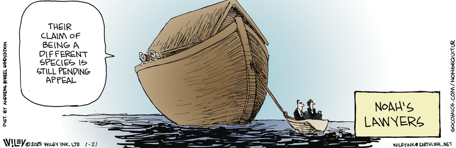 Non Sequitur