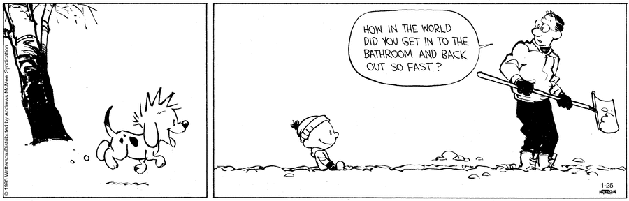Calvin and Hobbes