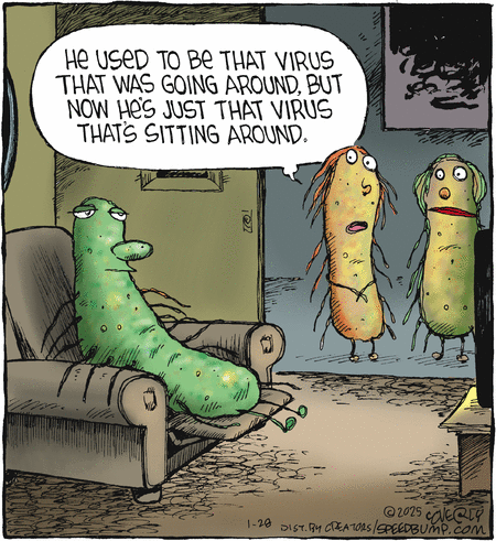 Speed Bump