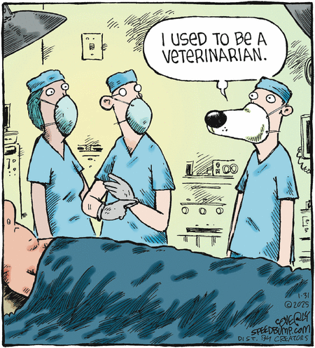 Speed Bump