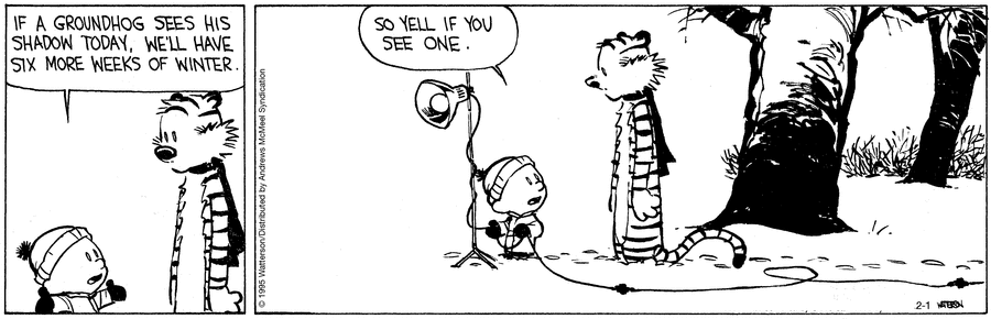 Calvin and Hobbes