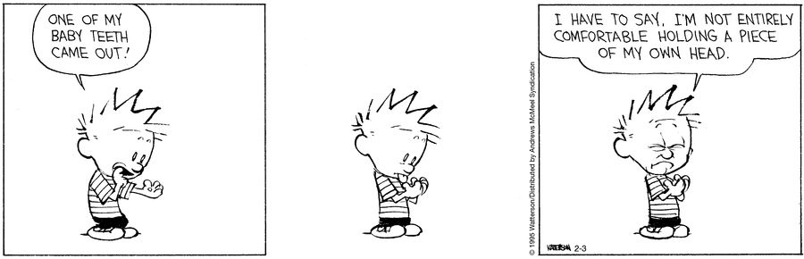 Calvin and Hobbes