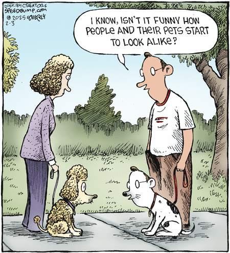 Speed Bump