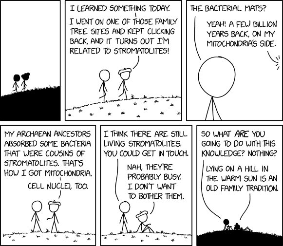 xkcd