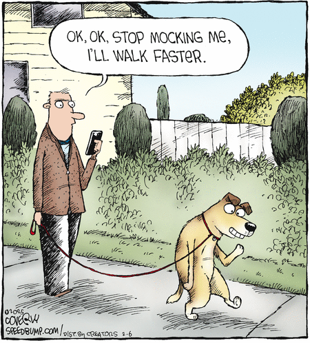 Speed Bump