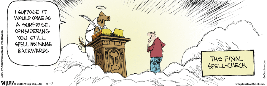 Non Sequitur