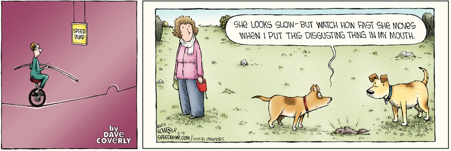 Speed Bump