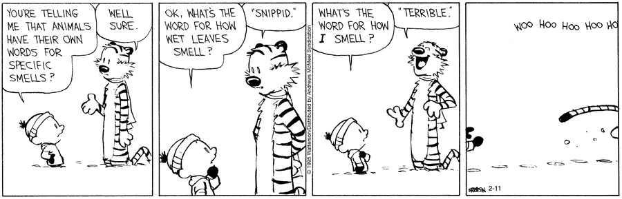 Calvin and Hobbes