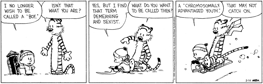 Calvin and Hobbes
