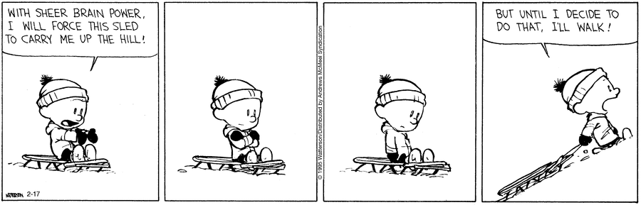 Calvin and Hobbes