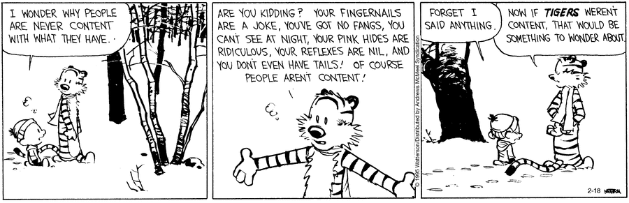 Calvin and Hobbes
