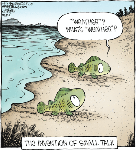 Speed Bump