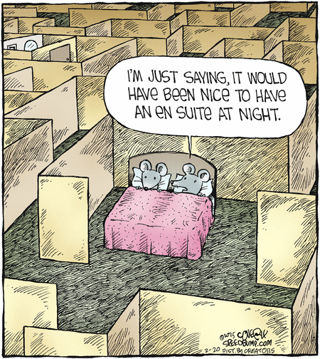 Speed Bump