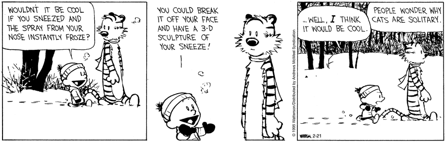 Calvin and Hobbes
