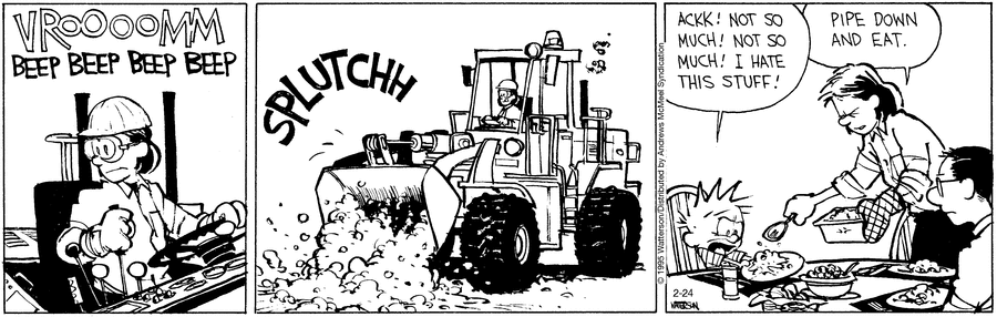 Calvin and Hobbes