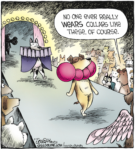 Speed Bump
