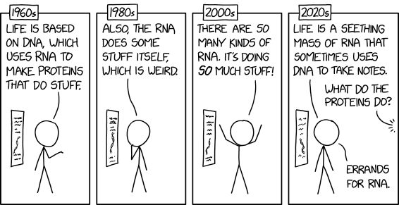xkcd