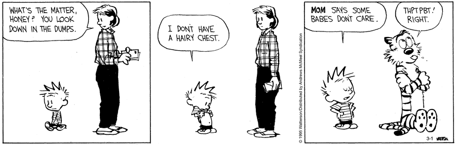 Calvin and Hobbes