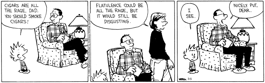 Calvin and Hobbes