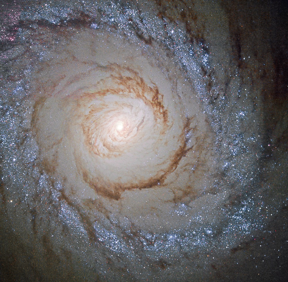 Astronomy Picture of the Day