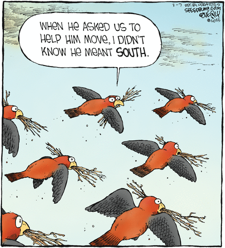 Speed Bump