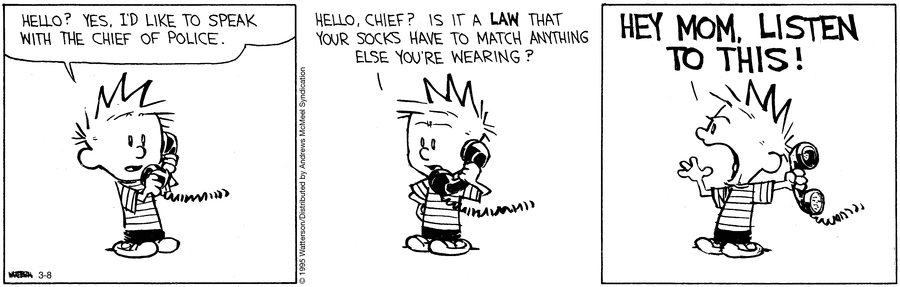 Calvin and Hobbes